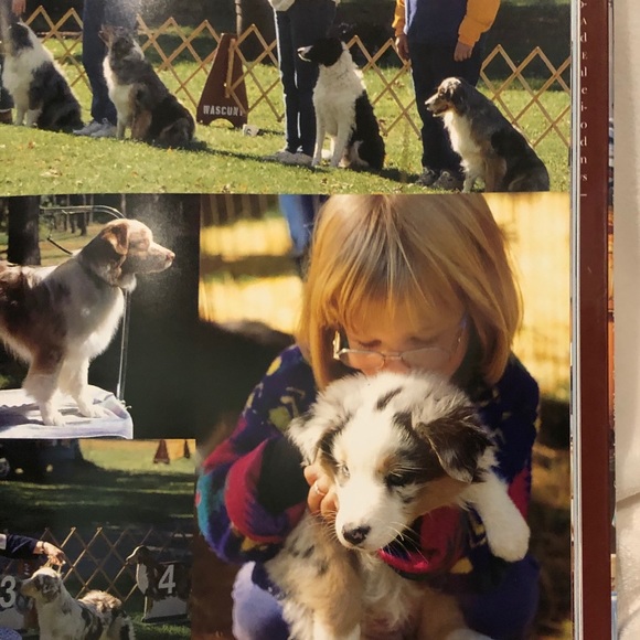 🐶 HOST PICK🐶 9 1/2 x 12 in LIVING WITH DOGS Coffee Table Book - Picture 8 of 12